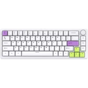 DK67 65% Mechanical Keyboard with RGB Backlight